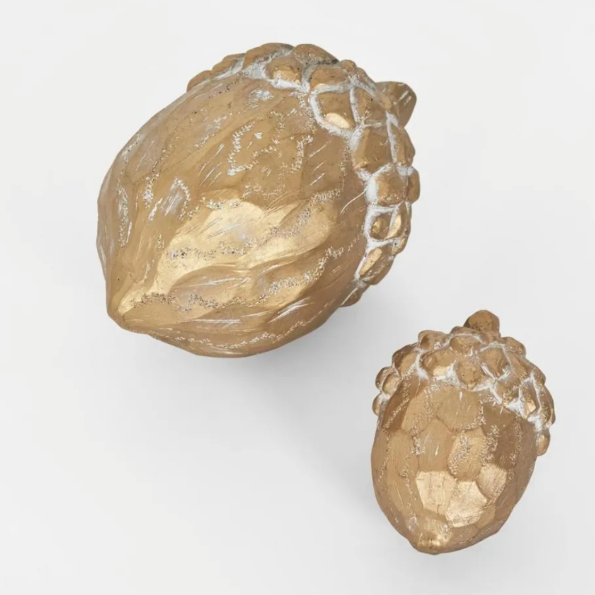 Golden Acorn