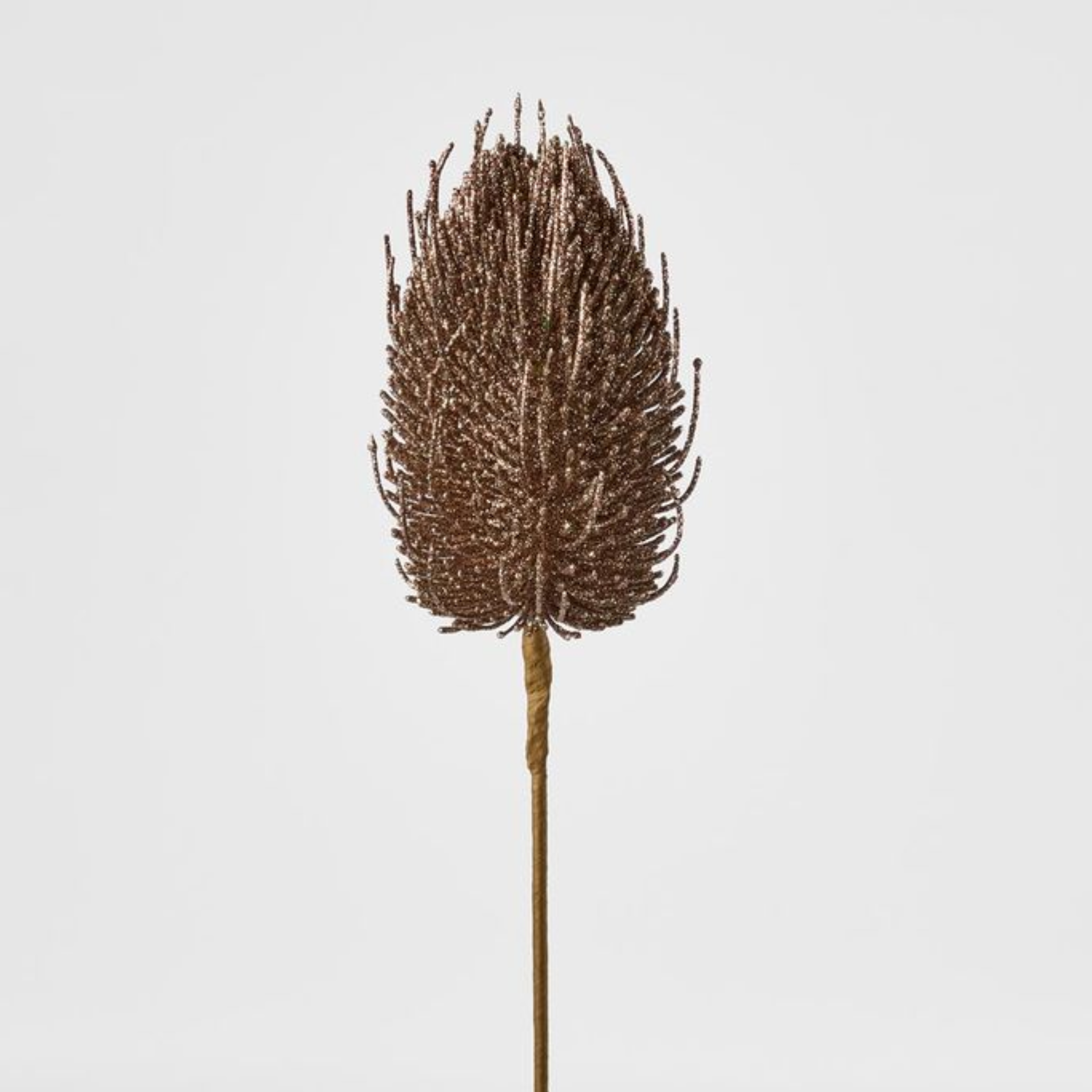 Banksia Glitter Stem