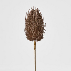 Banksia Glitter Stem