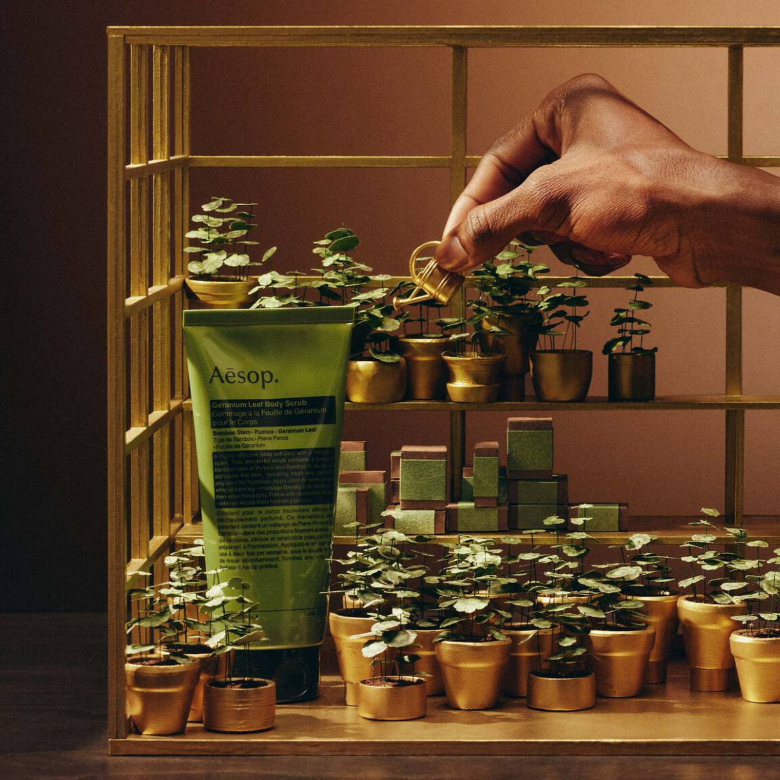 Aesop Party in the Greenhouse Geranium Leaf Trio Gift Kit