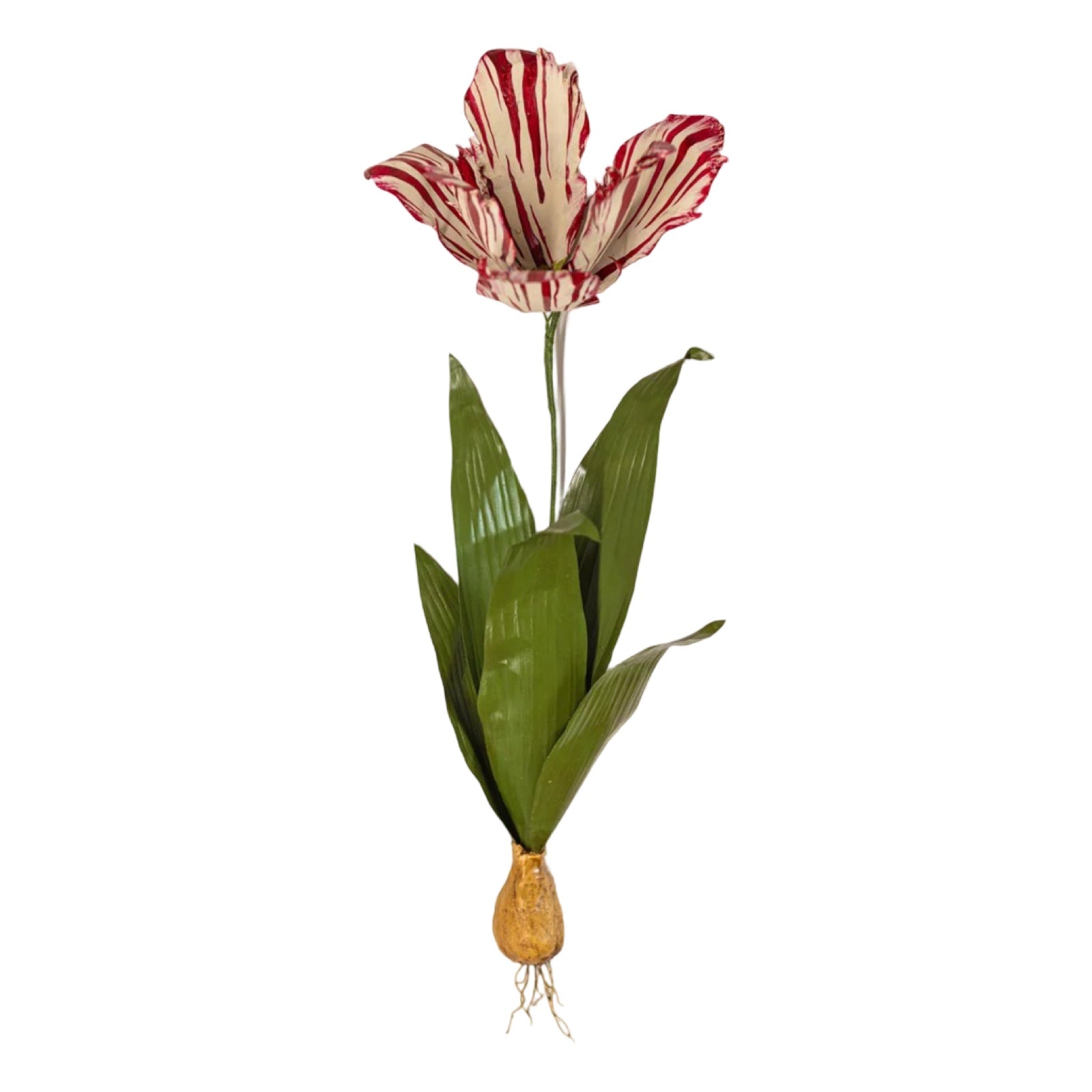 Aimee Pradel Tulip Wall Flower