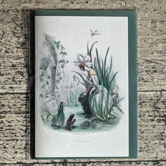 Aimee Pradel JJ Grandville Gift Cards