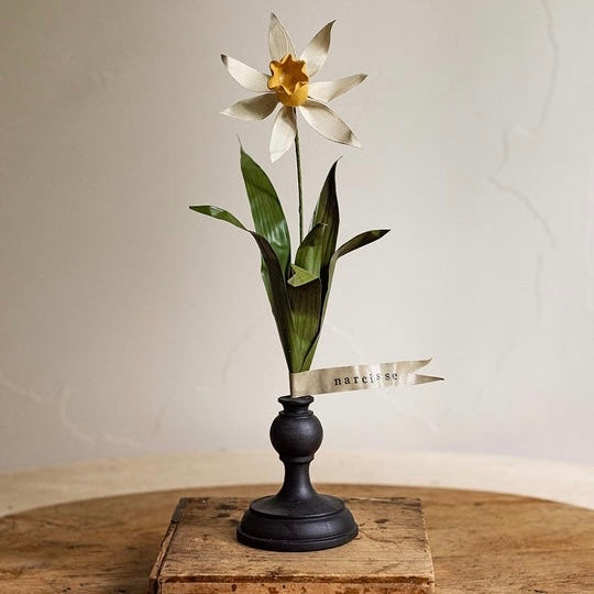 Aimee Pradel Botanical Specimens on stand - Daffodil