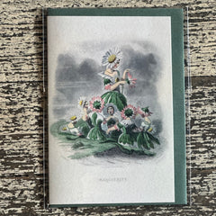 Aimee Pradel JJ Grandville Gift Cards