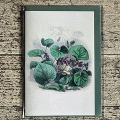 Aimee Pradel JJ Grandville Gift Cards