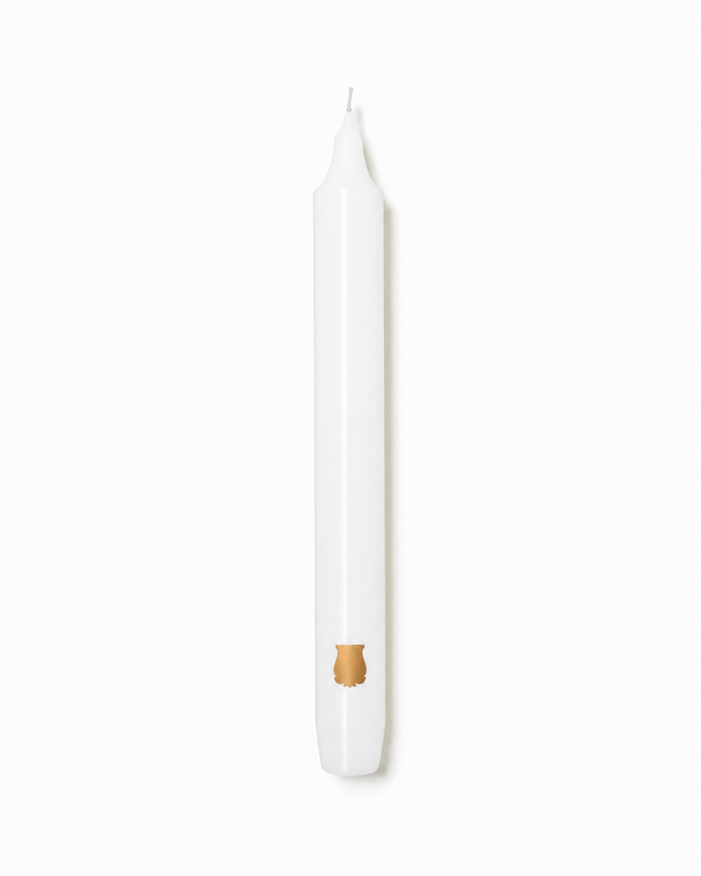 Trudon Fir Scented Madeleines Taper Candles Set of Six