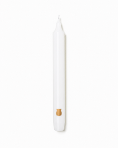 Trudon Fir Scented Madeleines Taper Candles Set of Six