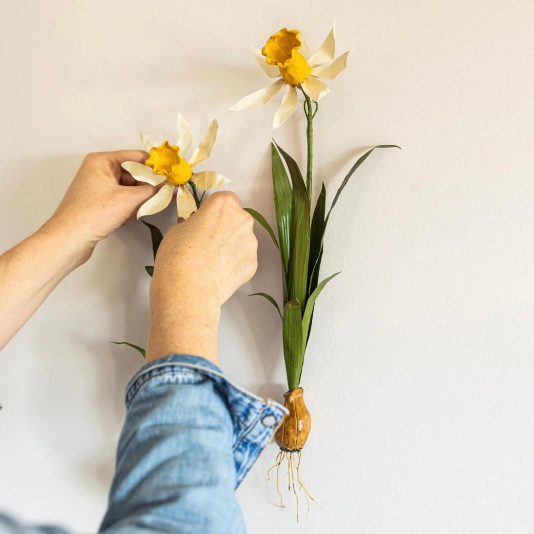 Aimee Pradel Daffodil Wall Flower