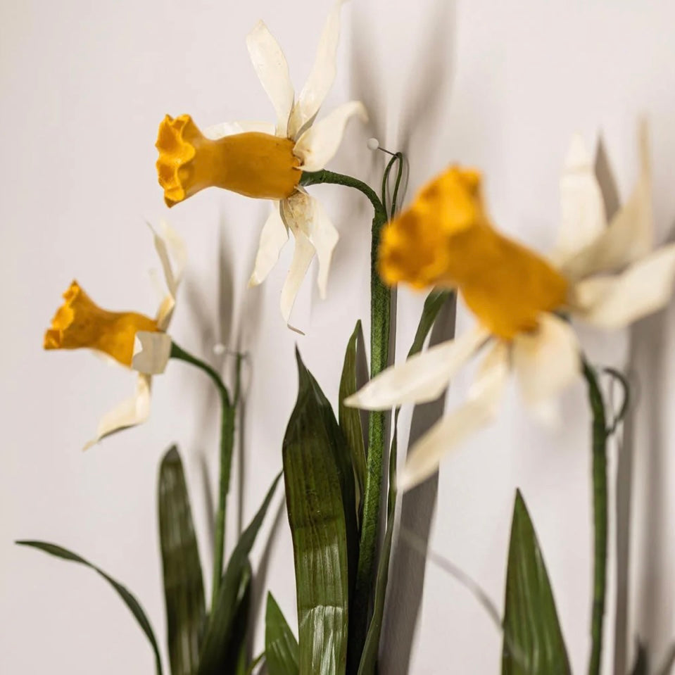 Aimee Pradel Daffodil Wall Flower