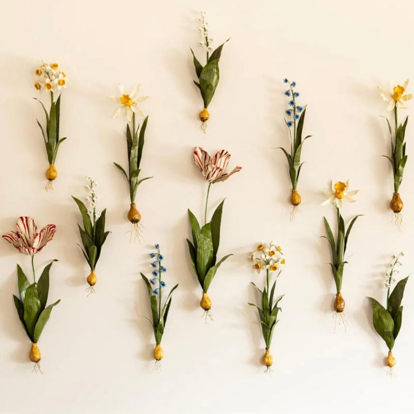 Aimee Pradel Tulip Wall Flower