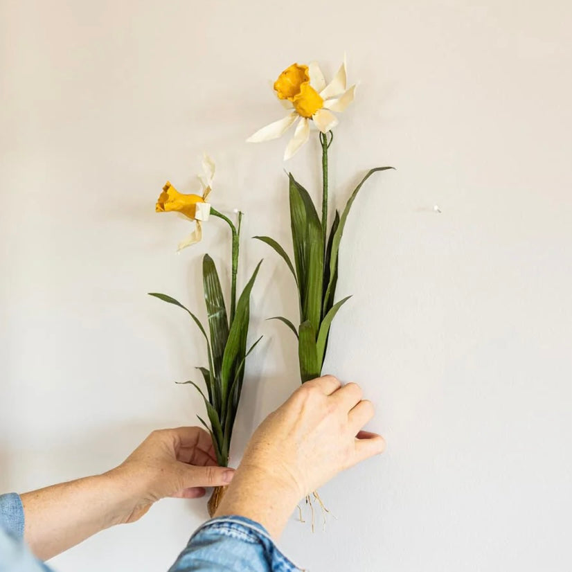 Aimee Pradel Daffodil Wall Flower