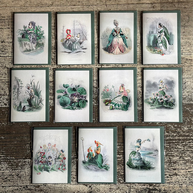 Aimee Pradel JJ Grandville Gift Cards
