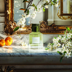 Trudon Absolu Parfum