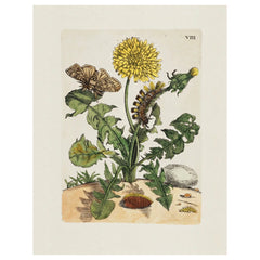 Aimee Pradel Botanical Gift Cards