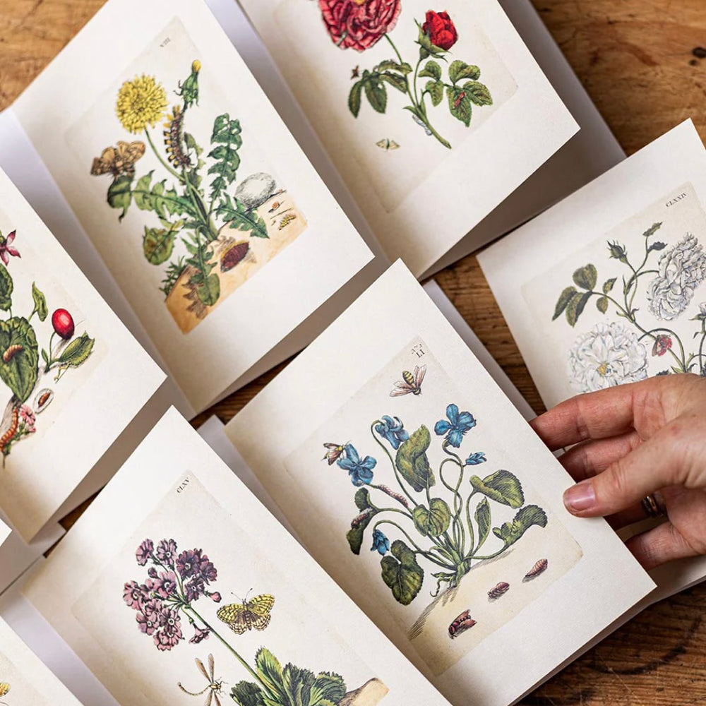 Aimee Pradel Botanical Gift Cards