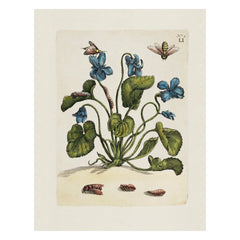 Aimee Pradel Botanical Gift Cards
