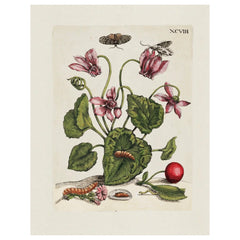 Aimee Pradel Botanical Gift Cards