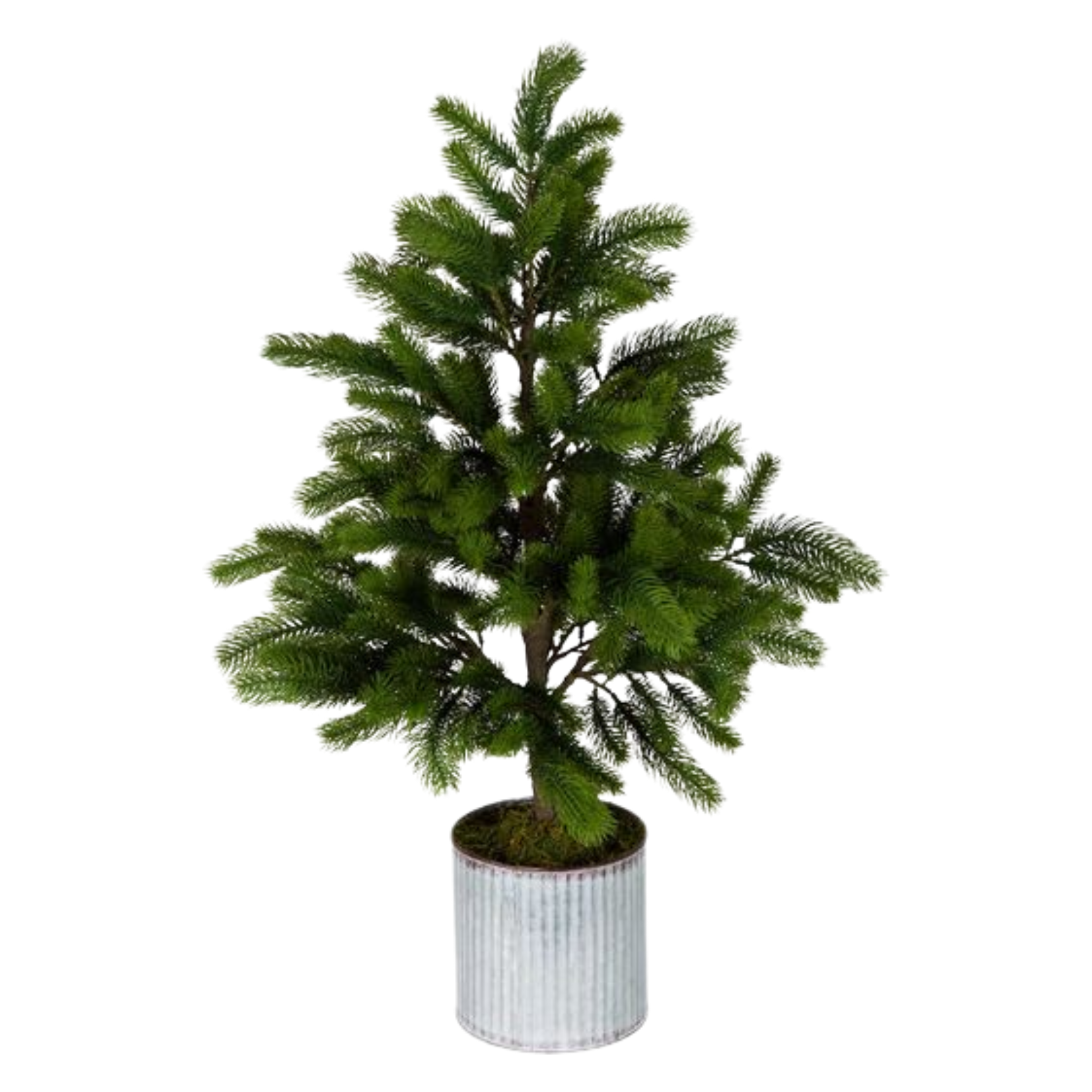 Marmont Small Tin Potted Pine Tree