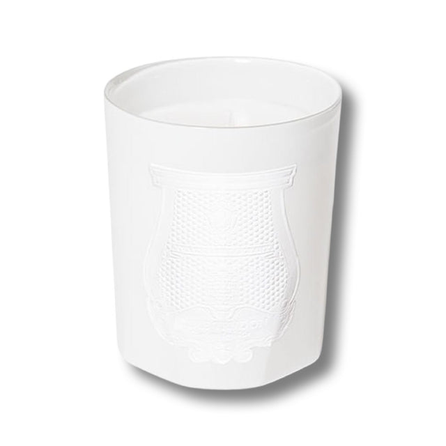 Trudon Positano Candle 270g