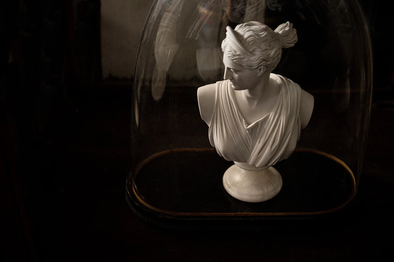 Classical marble bust displayed beneath a glass cloche at Manteau Noir